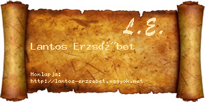 Lantos Erzsébet névjegykártya